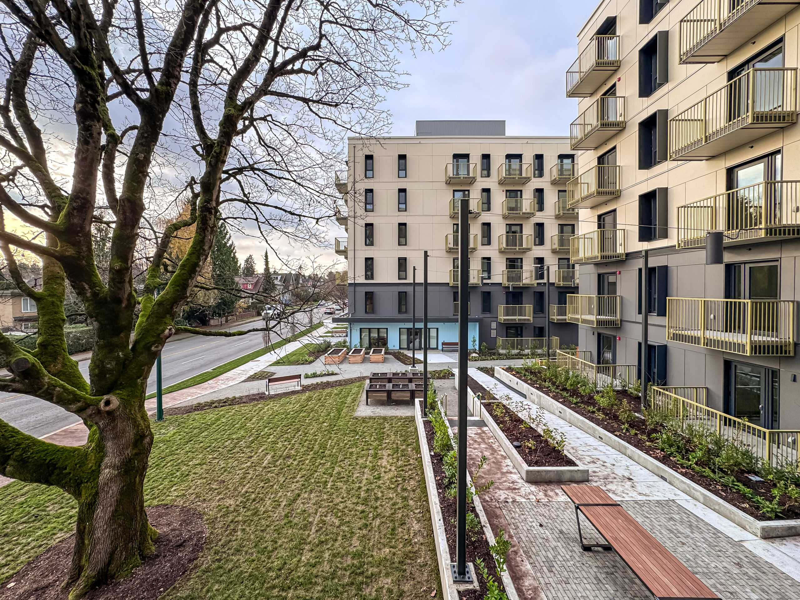 Photo of courtyard community garden between two apartment buildings